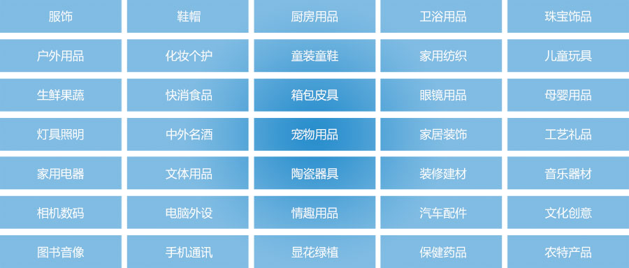 大中型电商的适用对象